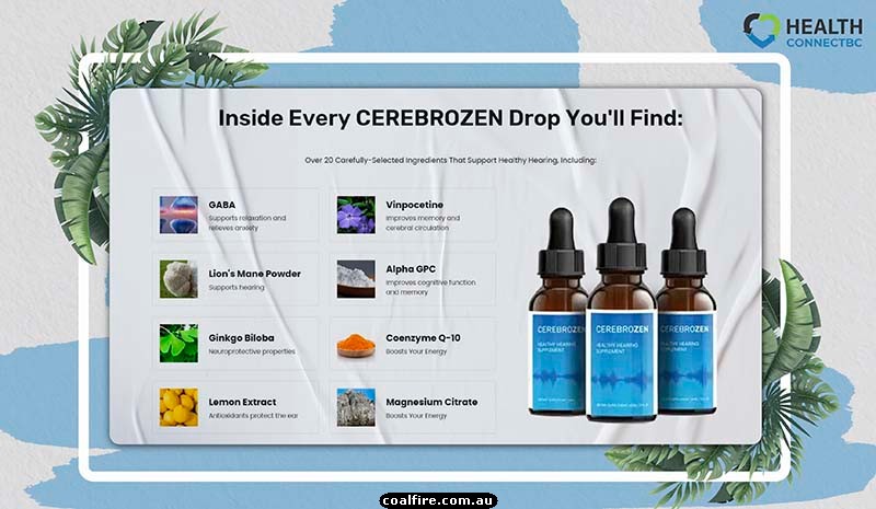 CerebroZen